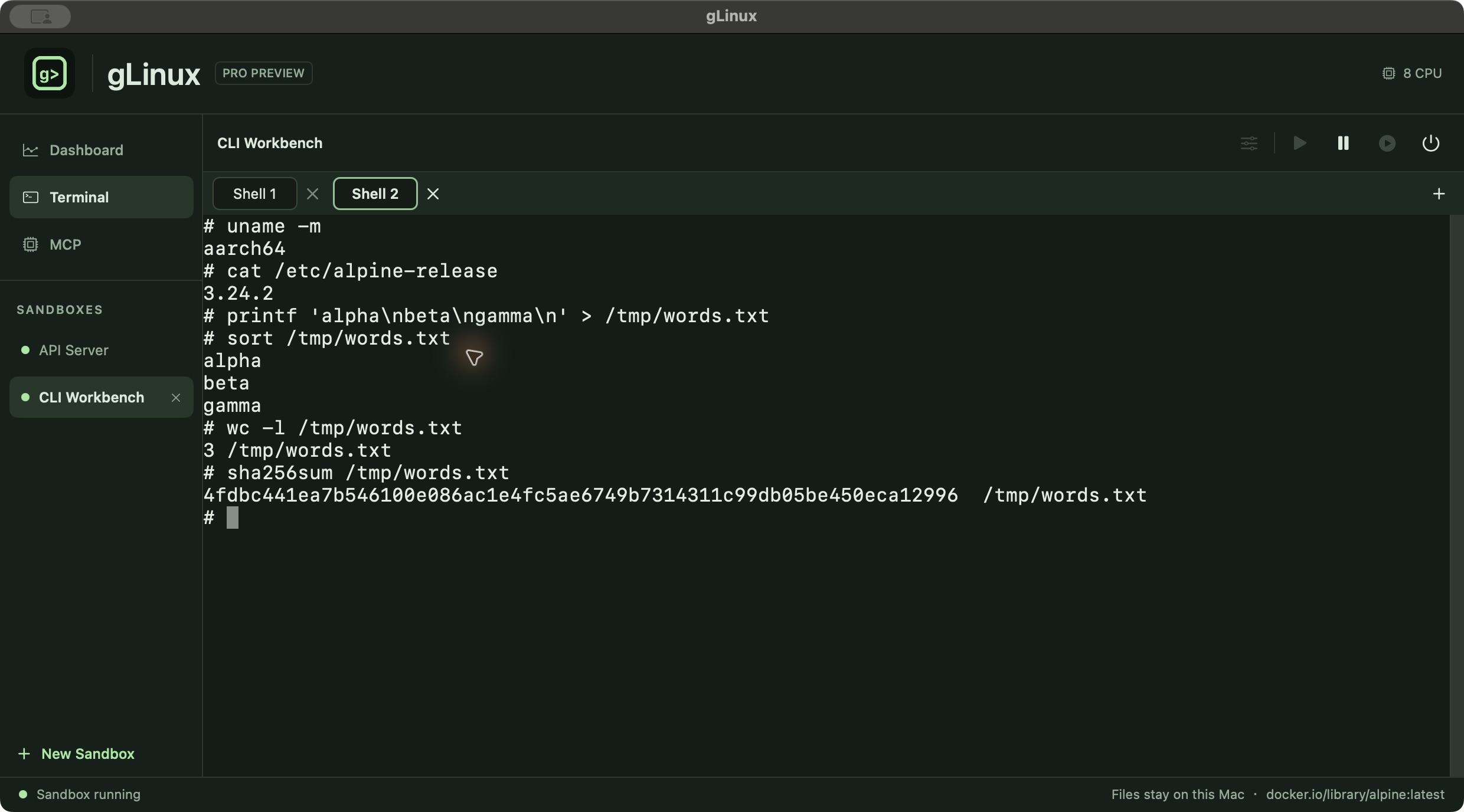 gLinux Pro feature preview with multiple terminal sandboxes and shell tabs